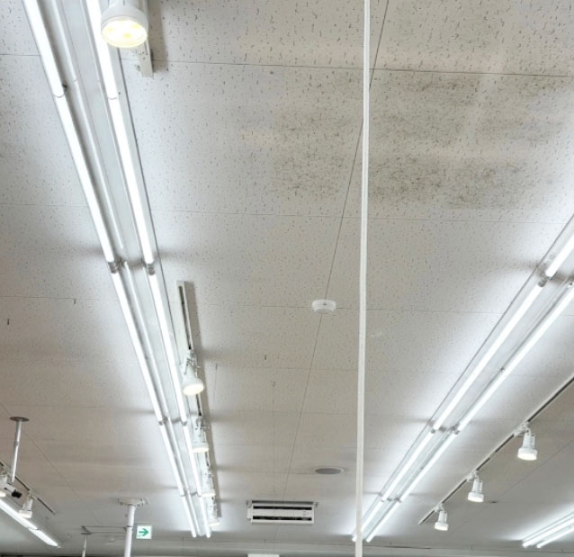 環境に配慮した洗浄で再生した天井ジプトーン